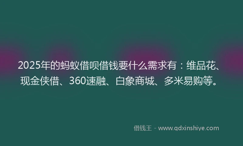 2025年的蚂蚁借呗借钱要什么需求有：维品花、现金侠借、360速融、白象商城、多米易购等。