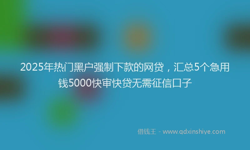 2025年热门黑户强制下款的网贷，汇总5个急用钱5000快审快贷无需征信口子