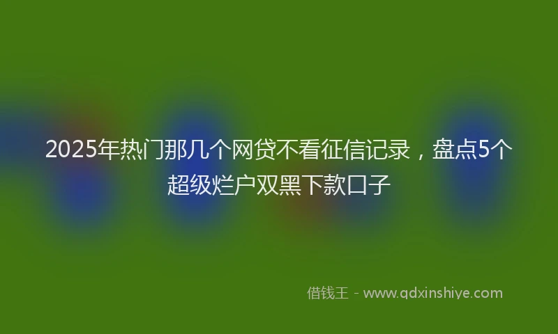 2025年热门那几个网贷不看征信记录，盘点5个超级烂户双黑下款口子