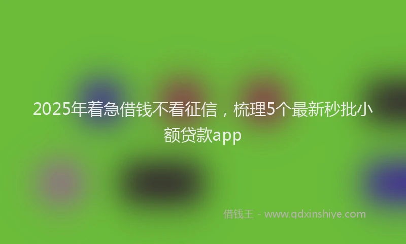 2025年着急借钱不看征信，梳理5个最新秒批小额贷款app