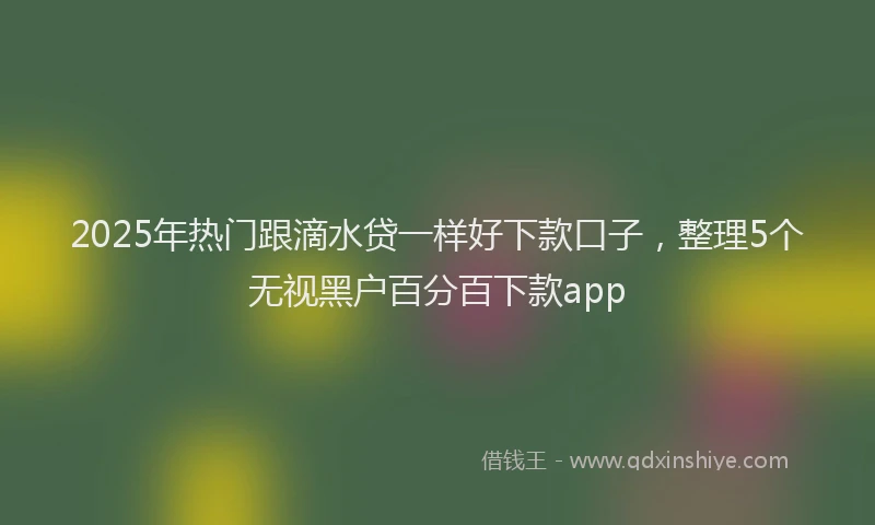 2025年热门跟滴水贷一样好下款口子，整理5个无视黑户百分百下款app