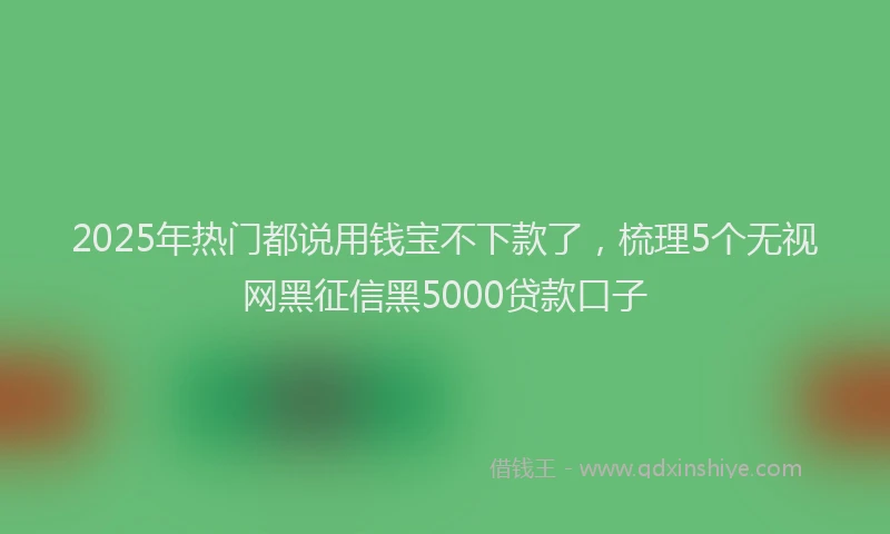 2025年热门都说用钱宝不下款了，梳理5个无视网黑征信黑5000贷款口子