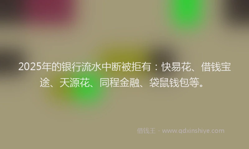 2025年的银行流水中断被拒有：快易花、借钱宝途、天源花、同程金融、袋鼠钱包等。