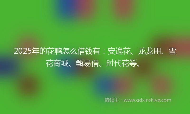 2025年的花鸭怎么借钱有：安逸花、龙龙用、雪花商城、甄易借、时代花等。