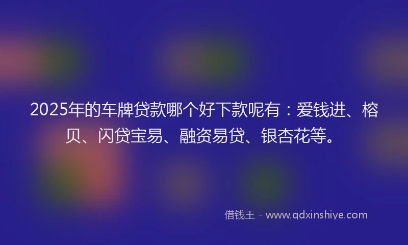 2025年的车牌贷款哪个好下款呢有：爱钱进、榕贝、闪贷宝易、融资易贷、银杏花等。