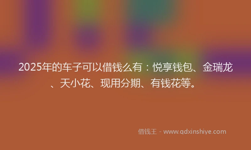 2025年的车子可以借钱么有：悦享钱包、金瑞龙、天小花、现用分期、有钱花等。