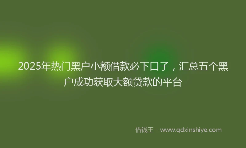 2025年热门黑户小额借款必下口子，汇总五个黑户成功获取大额贷款的平台