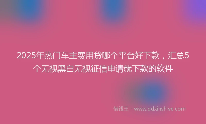 2025年热门车主费用贷哪个平台好下款，汇总5个无视黑白无视征信申请就下款的软件