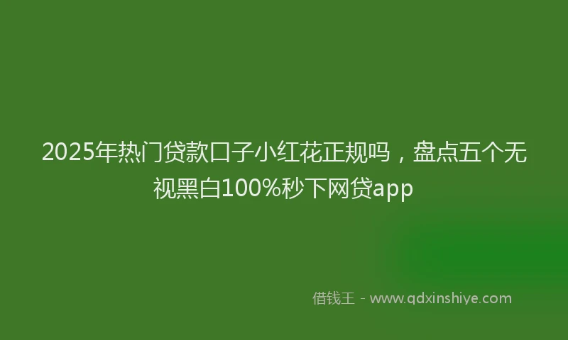 2025年热门贷款口子小红花正规吗，盘点五个无视黑白100%秒下网贷app