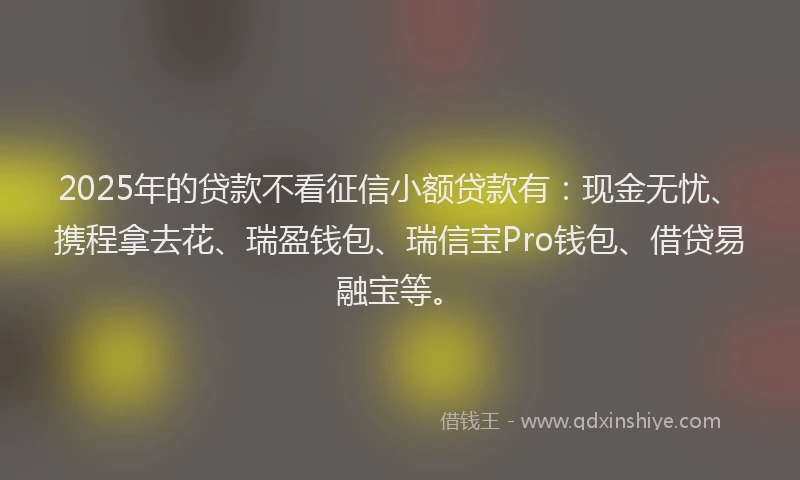 2025年的贷款不看征信小额贷款有：现金无忧、携程拿去花、瑞盈钱包、瑞信宝Pro钱包、借贷易融宝等。