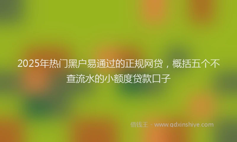 2025年热门黑户易通过的正规网贷，概括五个不查流水的小额度贷款口子