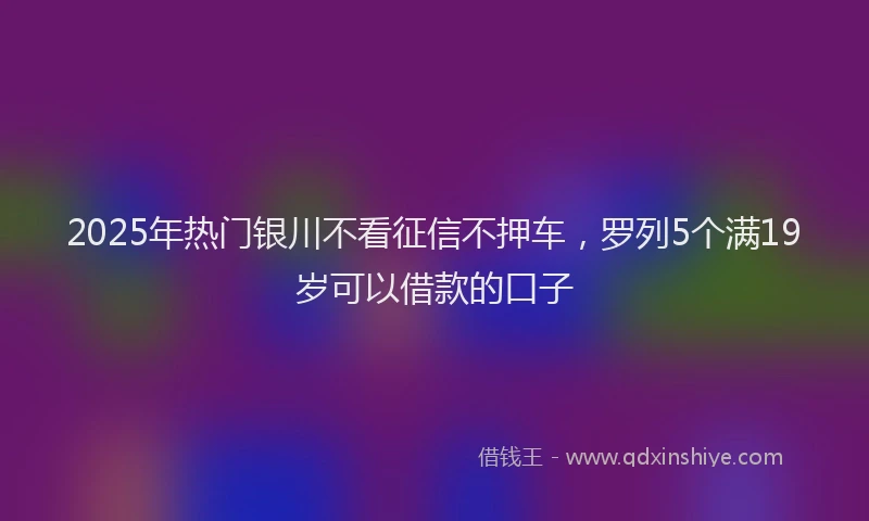 2025年热门银川不看征信不押车，罗列5个满19岁可以借款的口子
