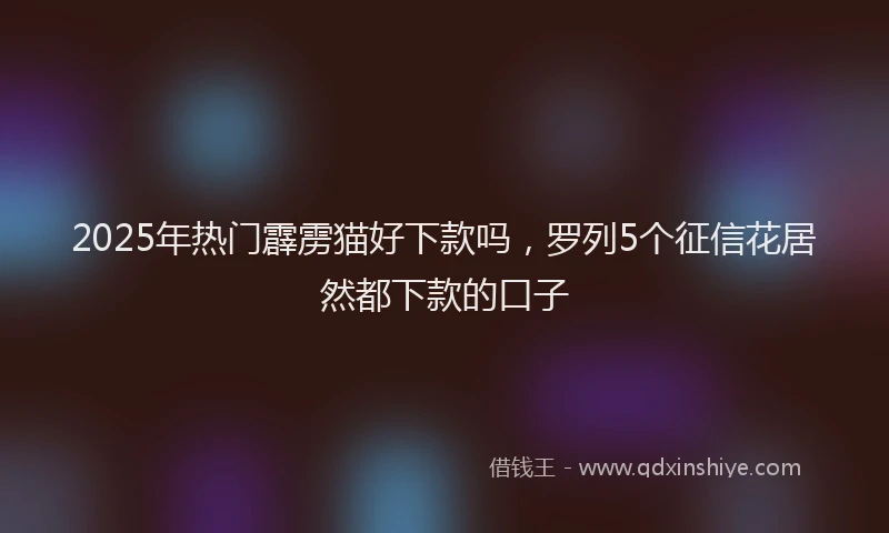 2025年热门霹雳猫好下款吗，罗列5个征信花居然都下款的口子