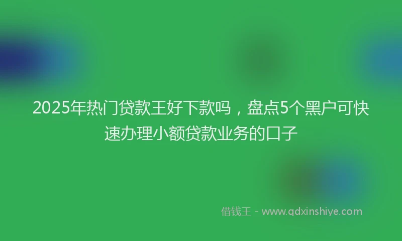 2025年热门贷款王好下款吗，盘点5个黑户可快速办理小额贷款业务的口子