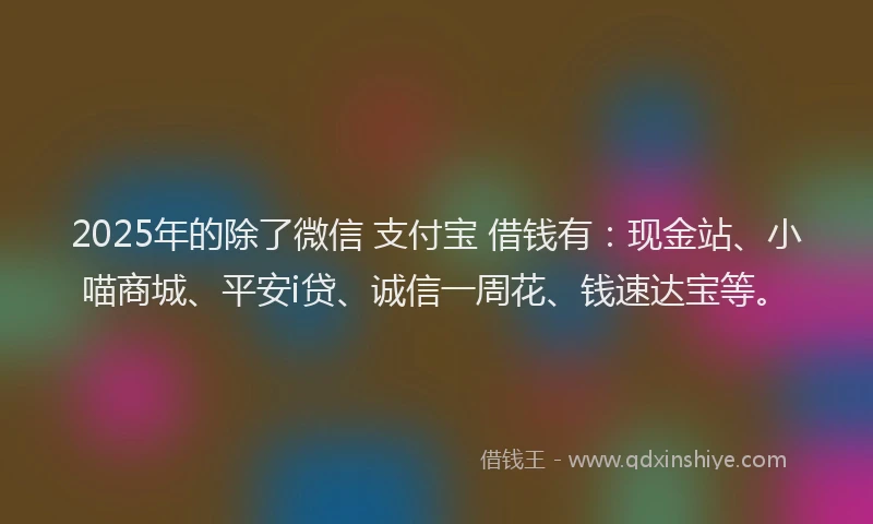 2025年的除了微信 支付宝 借钱有：现金站、小喵商城、平安i贷、诚信一周花、钱速达宝等。