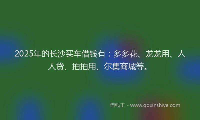 2025年的长沙买车借钱有：多多花、龙龙用、人人贷、拍拍用、尔集商城等。