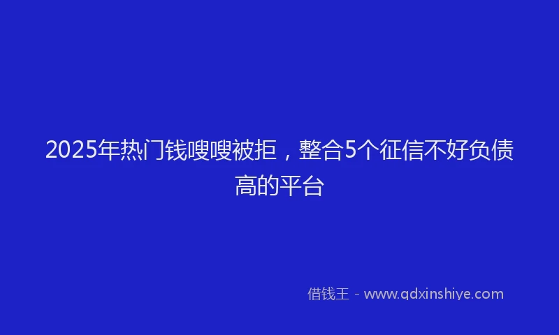2025年热门钱嗖嗖被拒，整合5个征信不好负债高的平台