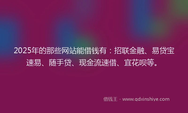 2025年的那些网站能借钱有：招联金融、易贷宝速易、随手贷、现金流速借、宜花呗等。