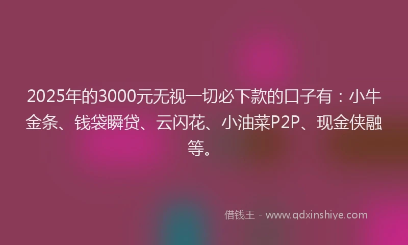 2025年的3000元无视一切必下款的口子有：小牛金条、钱袋瞬贷、云闪花、小油菜P2P、现金侠融等。