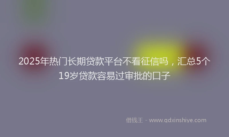 2025年热门长期贷款平台不看征信吗，汇总5个19岁贷款容易过审批的口子