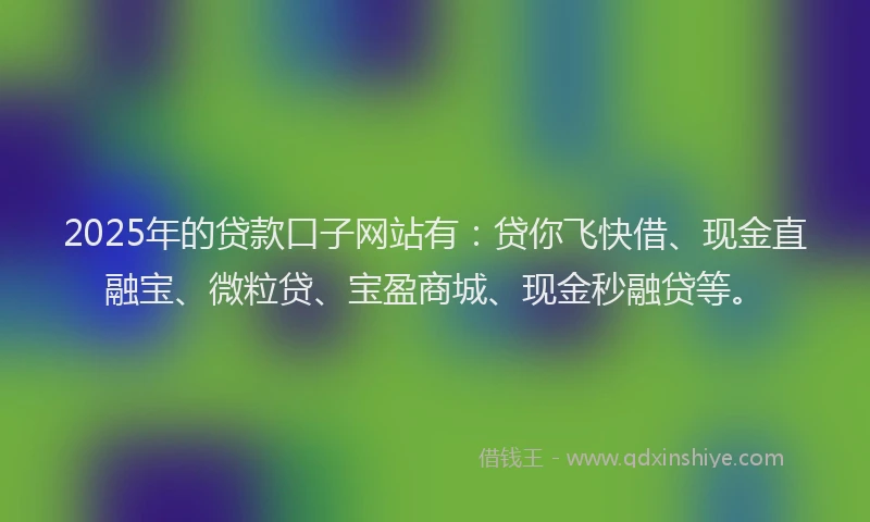 2025年的贷款口子网站有：贷你飞快借、现金直融宝、微粒贷、宝盈商城、现金秒融贷等。