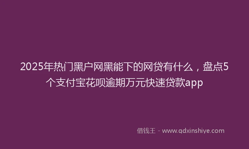 2025年热门黑户网黑能下的网贷有什么，盘点5个支付宝花呗逾期万元快速贷款app