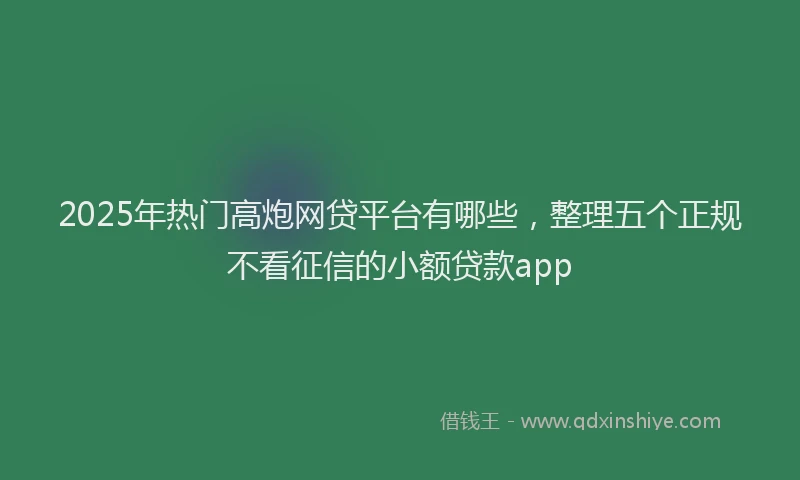 2025年热门高炮网贷平台有哪些，整理五个正规不看征信的小额贷款app