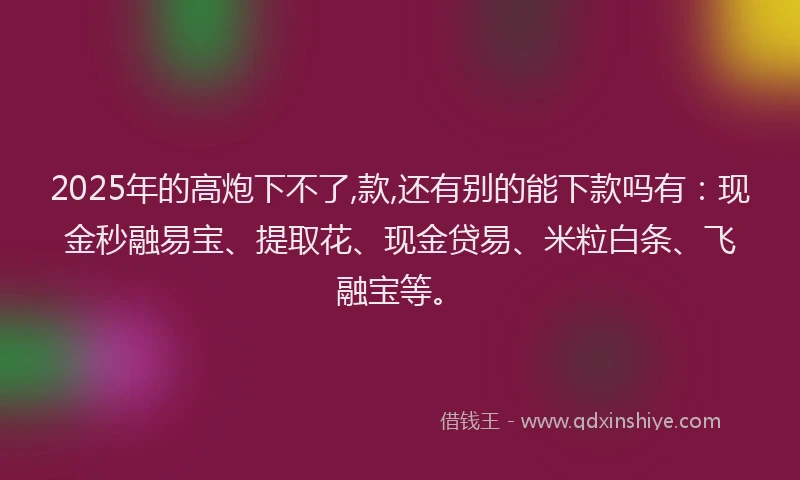 2025年的高炮下不了,款,还有别的能下款吗有：现金秒融易宝、提取花、现金贷易、米粒白条、飞融宝等。