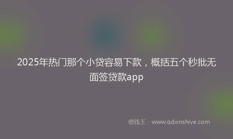 2025年热门那个小贷容易下款，概括五个秒批无面签贷款app