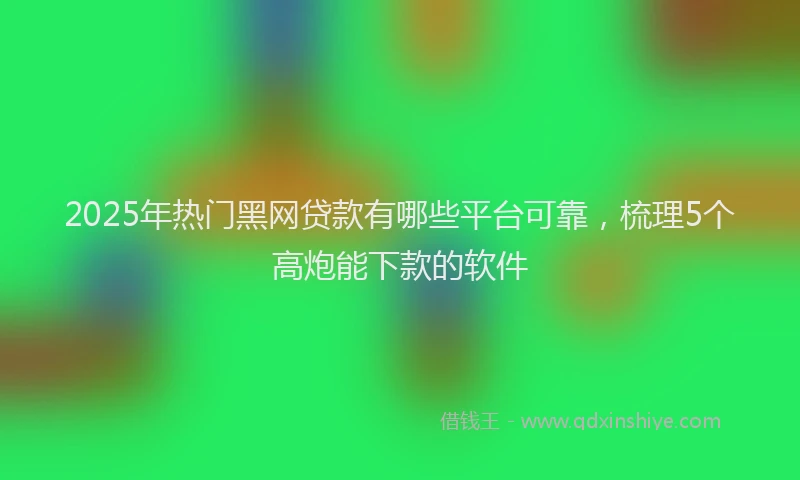2025年热门黑网贷款有哪些平台可靠，梳理5个高炮能下款的软件