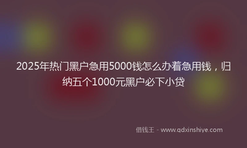 2025年热门黑户急用5000钱怎么办着急用钱，归纳五个1000元黑户必下小贷