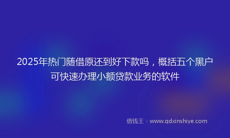 2025年热门随借原还到好下款吗，概括五个黑户可快速办理小额贷款业务的软件