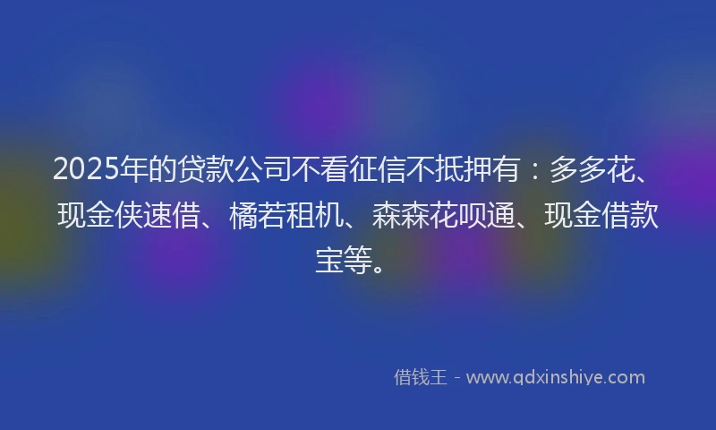 2025年的贷款公司不看征信不抵押有：多多花、现金侠速借、橘若租机、森森花呗通、现金借款宝等。