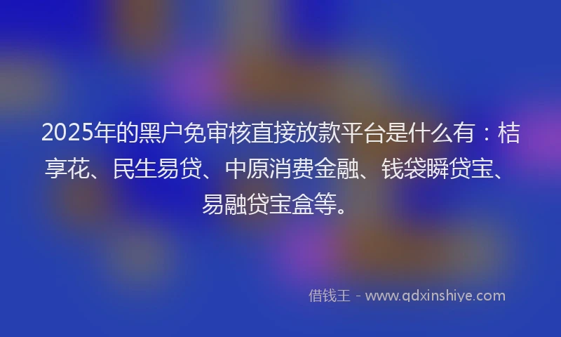 2025年的黑户免审核直接放款平台是什么有：桔享花、民生易贷、中原消费金融、钱袋瞬贷宝、易融贷宝盒等。