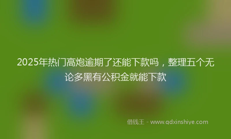 2025年热门高炮逾期了还能下款吗，整理五个无论多黑有公积金就能下款