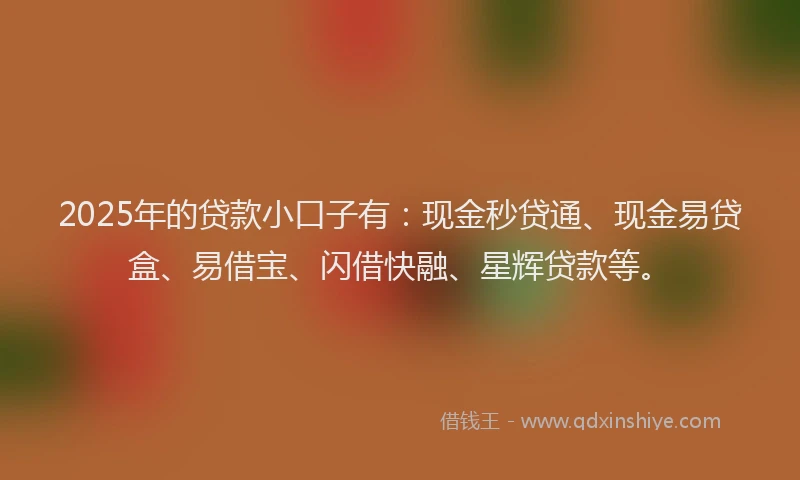 2025年的贷款小口子有：现金秒贷通、现金易贷盒、易借宝、闪借快融、星辉贷款等。