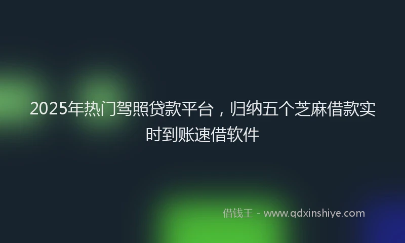 2025年热门驾照贷款平台，归纳五个芝麻借款实时到账速借软件