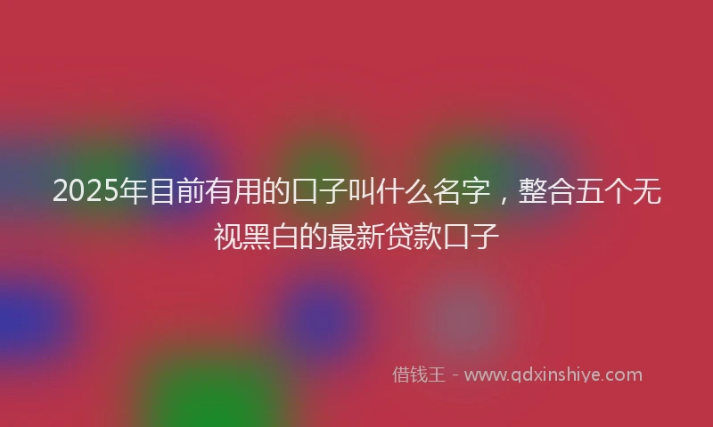 2025年目前有用的口子叫什么名字，整合五个无视黑白的最新贷款口子