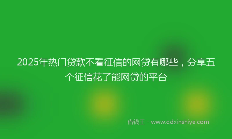 2025年热门贷款不看征信的网贷有哪些，分享五个征信花了能网贷的平台