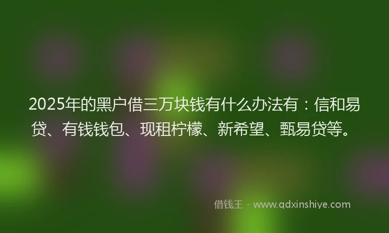 2025年的黑户借三万块钱有什么办法有：信和易贷、有钱钱包、现租柠檬、新希望、甄易贷等。