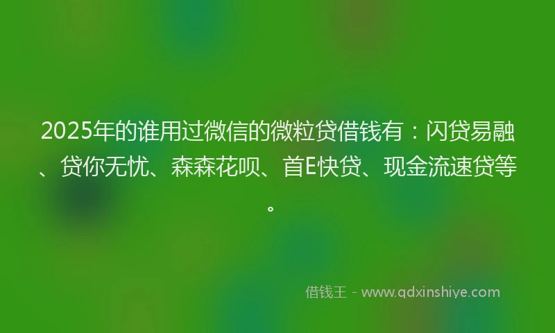 2025年的谁用过微信的微粒贷借钱有：闪贷易融、贷你无忧、森森花呗、首E快贷、现金流速贷等。