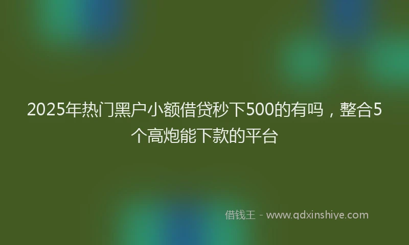 2025年热门黑户小额借贷秒下500的有吗，整合5个高炮能下款的平台