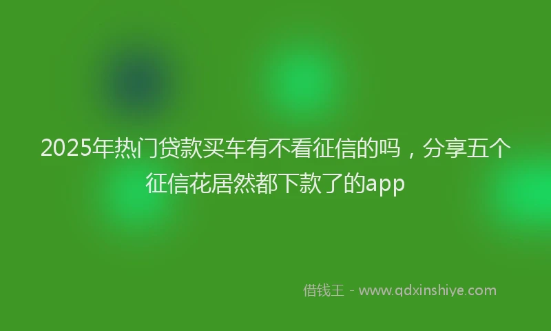 2025年热门贷款买车有不看征信的吗，分享五个征信花居然都下款了的app