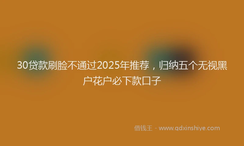 30贷款刷脸不通过2025年推荐，归纳五个无视黑户花户必下款口子