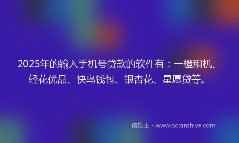 2025年的输入手机号贷款的软件有：一橙租机、轻花优品、快鸟钱包、银杏花、星愿贷等。