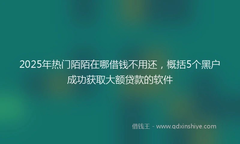 2025年热门陌陌在哪借钱不用还，概括5个黑户成功获取大额贷款的软件