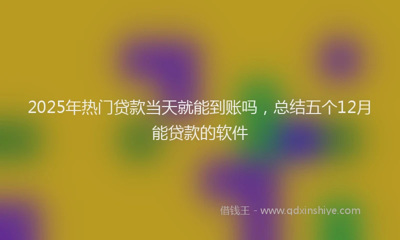2025年热门贷款当天就能到账吗，总结五个12月能贷款的软件