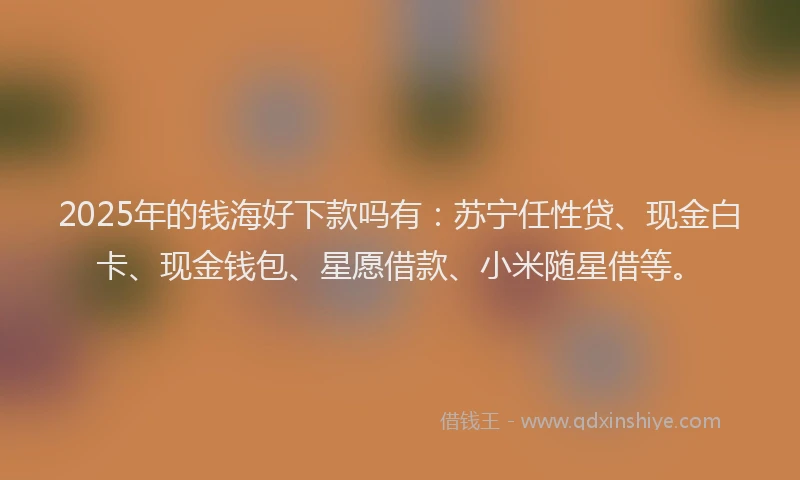 2025年的钱海好下款吗有：苏宁任性贷、现金白卡、现金钱包、星愿借款、小米随星借等。