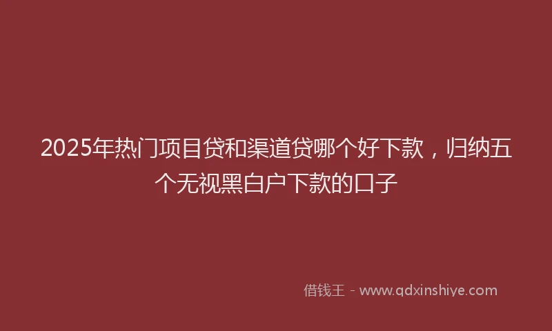 2025年热门项目贷和渠道贷哪个好下款，归纳五个无视黑白户下款的口子