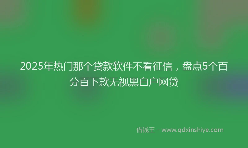 2025年热门那个贷款软件不看征信，盘点5个百分百下款无视黑白户网贷